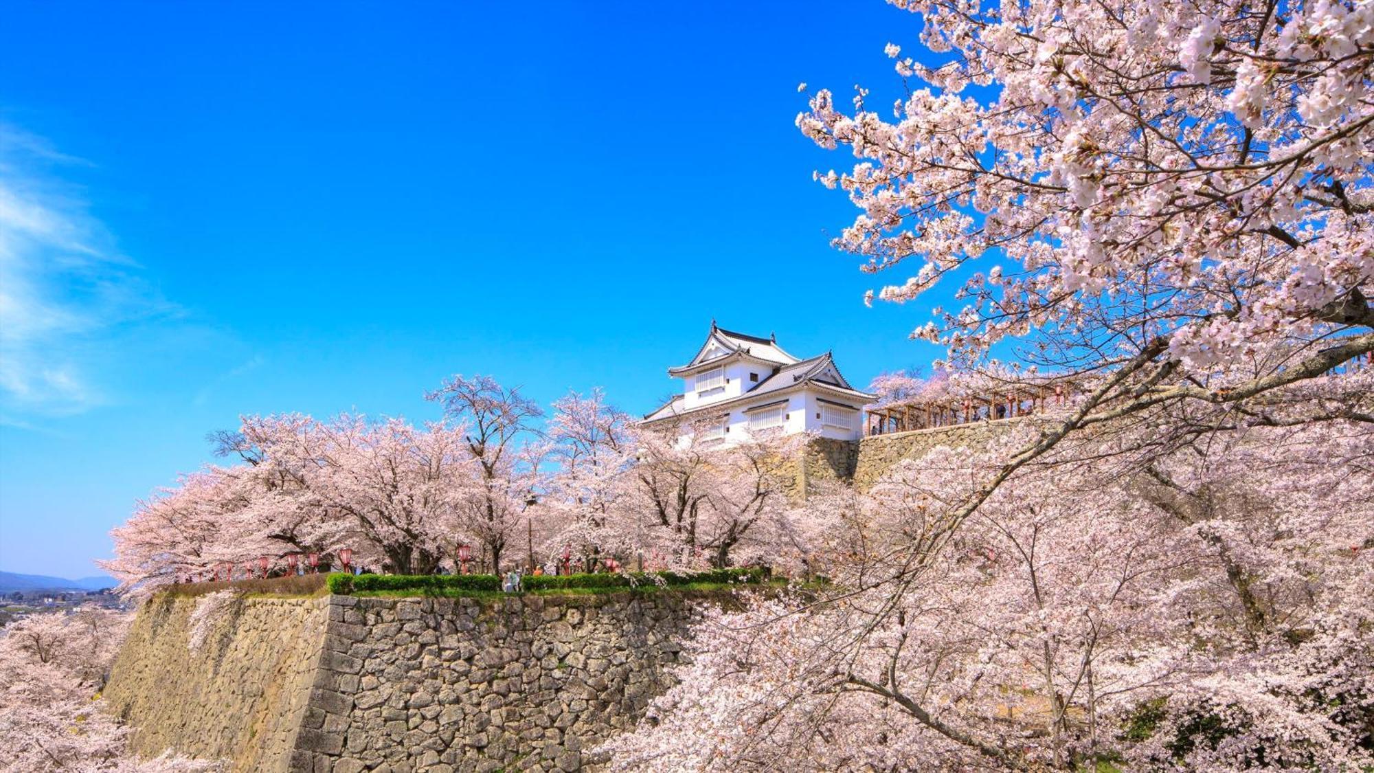 Hotel Ana Crowne Plaza Okayama By Ihg Zewnętrze zdjęcie